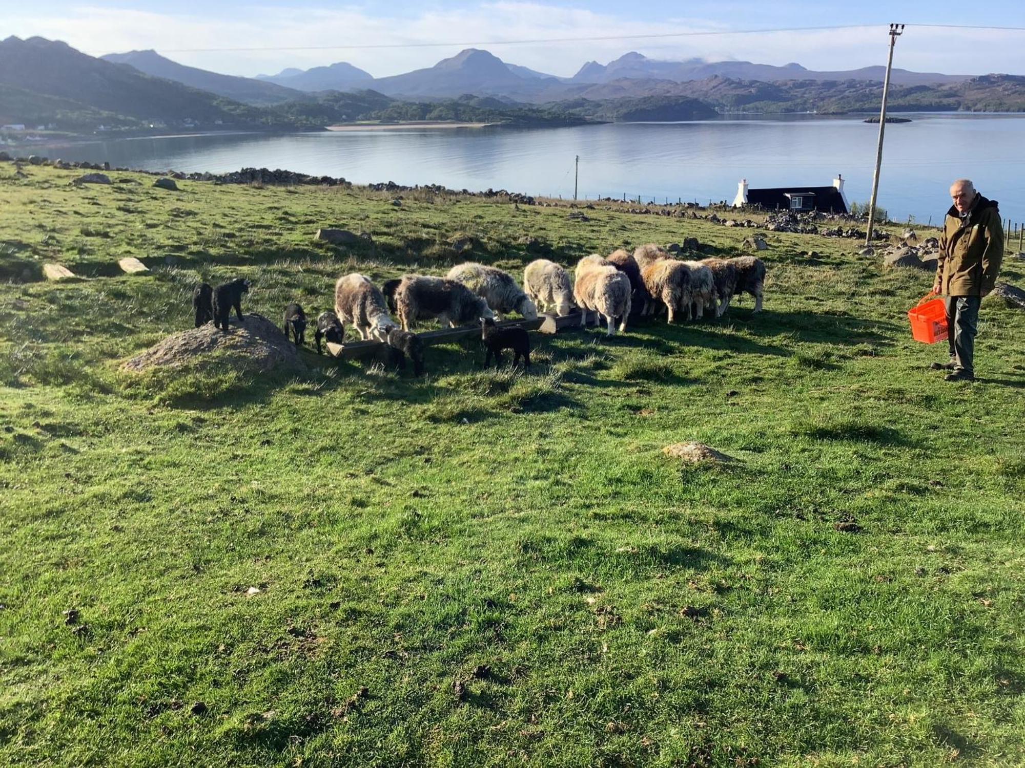 Macrae Croft- Rooms Gairloch Exterior foto